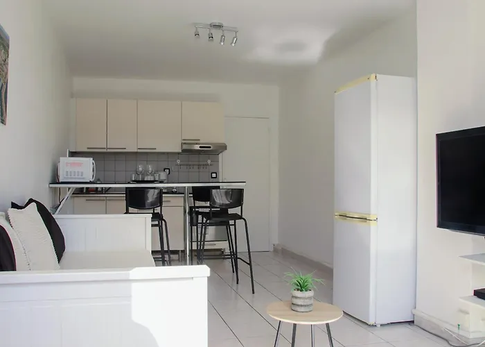 شقة A 400m De La Mer, 36m2, Lumineux, Calme En Centre-ville